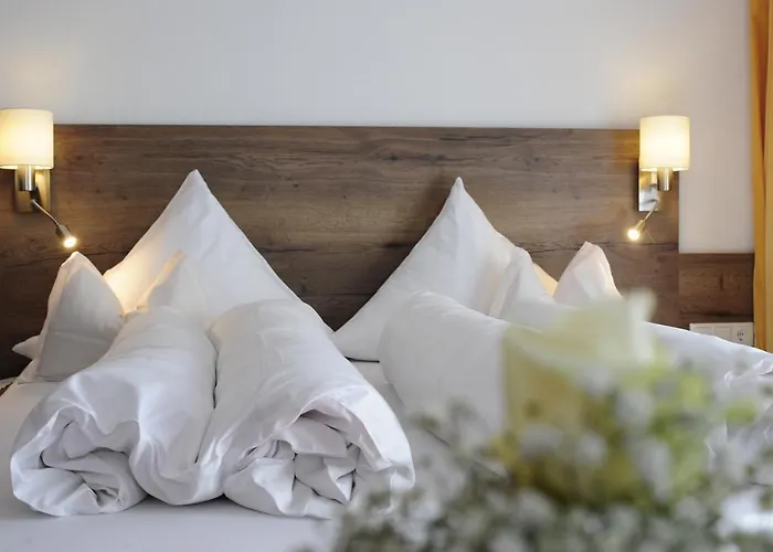 ゲストハウス Alpenliebe 3*